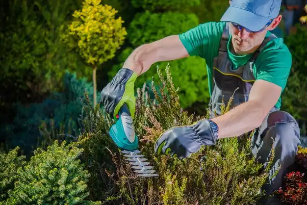 landscaping services Milford Center